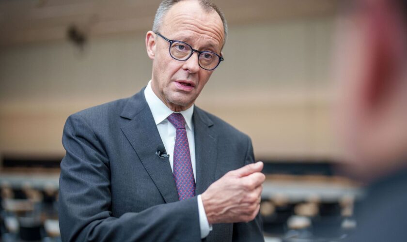 Friedrich Merz wirft der SPD vor, nur in alten Schablonen zu denken. Foto: Michael Kappeler/dpa