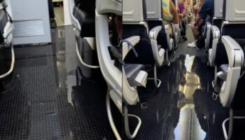 American Airlines passenger films chaos as bathroom floods aisles in mid-air