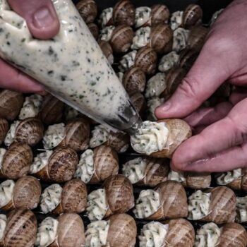 La France, le pays où le goûter est roi et l’escargot comestible