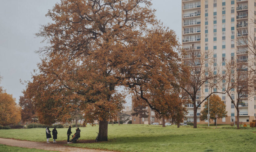 «Quartiers de demain» : une nouvelle ambition au service des populations