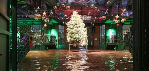 Hamburg: Fischauktionshalle unter Wasser - Erste Wintersturmflut des Jahres