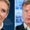 Robert Habeck gegen Alice Weidel: War die Absage richtig? Grüne diskutieren über Umgang mit TV-Duell