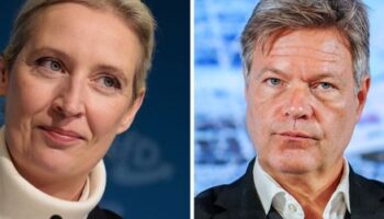 Robert Habeck gegen Alice Weidel: War die Absage richtig? Grüne diskutieren über Umgang mit TV-Duell