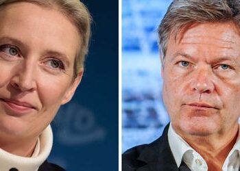 Robert Habeck gegen Alice Weidel: War die Absage richtig? Grüne diskutieren über Umgang mit TV-Duell