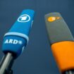 Bundestagswahlkampf: ARD und ZDF sagen TV-Duell zwischen Habeck und Weidel ab