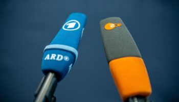 Bundestagswahlkampf: ARD und ZDF sagen TV-Duell zwischen Habeck und Weidel ab