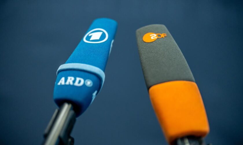 Bundestagswahlkampf: ARD und ZDF sagen TV-Duell zwischen Habeck und Weidel ab