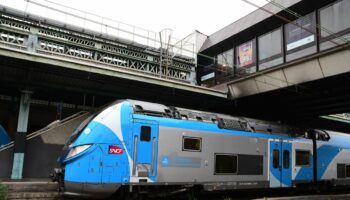 Les trains sont moins ponctuels et plus chers mais ils sont toujours plus plébiscités