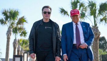 X-Inhaber und Tesla-Chef Elon Musk hat sich immer näher an den designierten US-Präsidenten Donald Trump herangearbeitet und ist