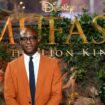 Barry Jenkins : « “Mufasa. Le roi lion”, c’est la même histoire que “Moonlight” mais à plus grande échelle »