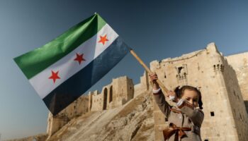 A little girl waves Syria's revolutionary flag