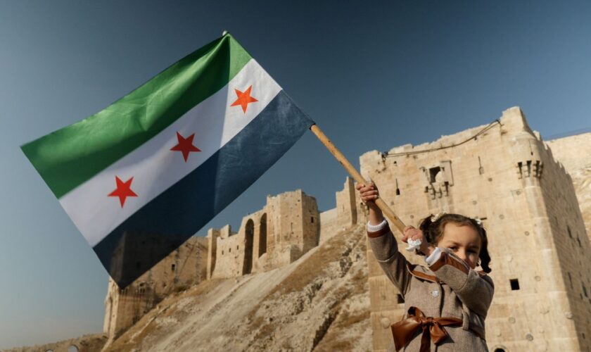 A little girl waves Syria's revolutionary flag