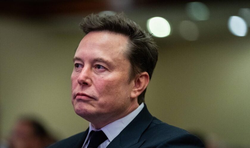 « Seule l’AfD peut sauver l’Allemagne » : Elon Musk soutient l’extrême droite et provoque de vives réactions