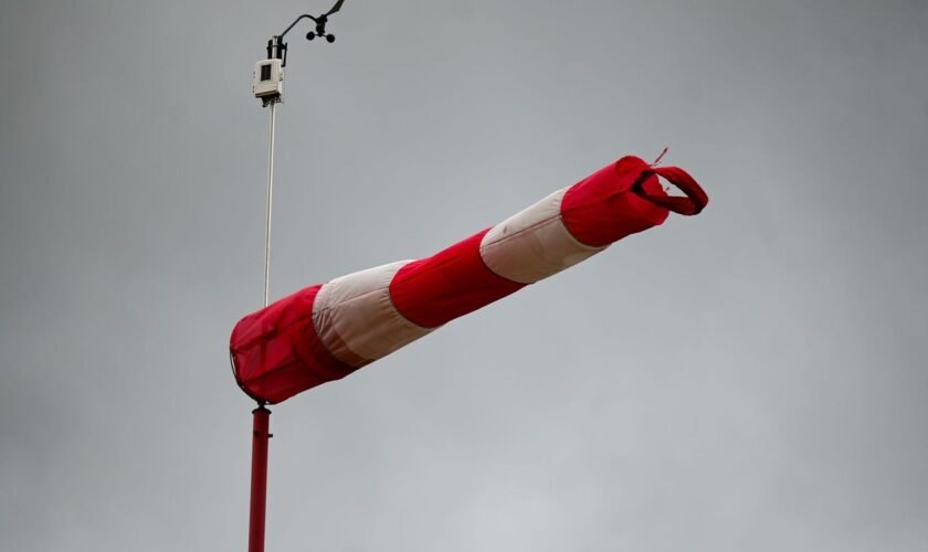 Sturm- und Orkanböen im Harz für das Wochenende erwartet. (Symbolbild) Foto: Marius Bulling/dpa