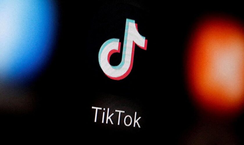 Social Media: Albanien will TikTok für ein Jahr sperren