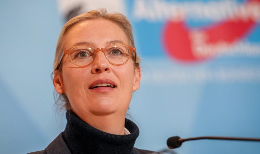 Weidel ist nun genauso beliebt wie der CDU-Kanzlerkandidat