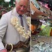 King Charles 'deeply saddened' as he sends prayers to Pacific island nation devastated by earthquake