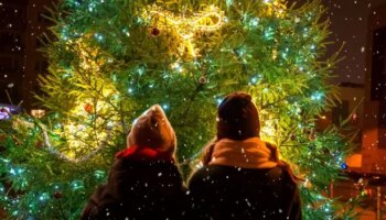 Staring at a Christmas tree could tell you if you have a common health problem