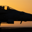 Two US Navy pilots shot down over Red Sea in apparent 'friendly fire' incident: US military