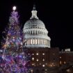 Rockin’ around the congressional Christmas tree