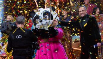 TV-Show »The Masked Singer«: Sängerin Loi gewinnt als Panda