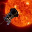 NASA probe in Christmas Eve flight to 'uncharted territory' of Sun's surface