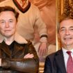 No 'immediate' plans to ban Musk giving Farage's Reform UK large donations - government