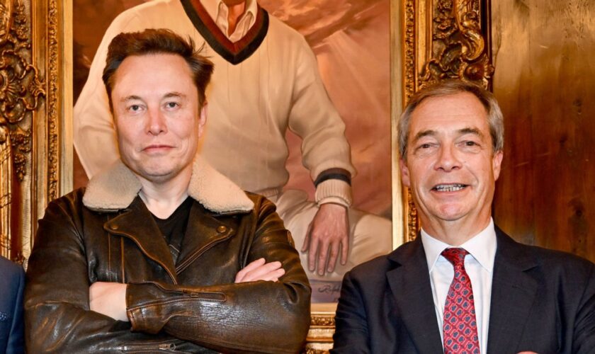 No 'immediate' plans to ban Musk giving Farage's Reform UK large donations - government