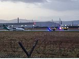 Plane crash lands at Belfast airport: Terror as passenger plane's landing gear collapses in 'hard landing' as 82mph winds batter UK