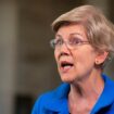 ‘Bargaining chip’: Trump allies dismantle Liz Warren’s claim GOP blocked childhood cancer research