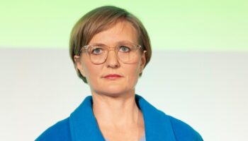 Grüne wollen einfache Steuer-App für Deutschland