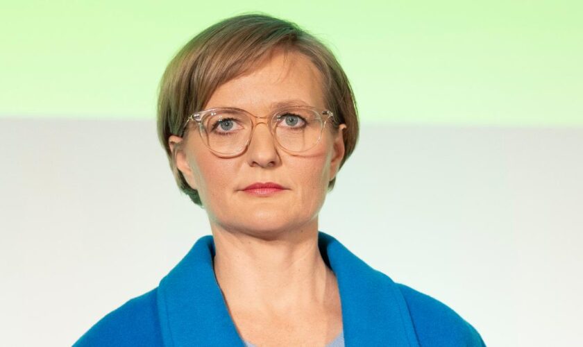 Grüne wollen einfache Steuer-App für Deutschland