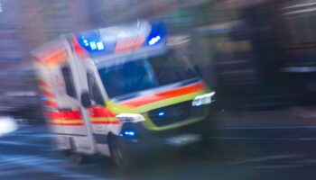 Sanitäter brachten die Verletzten in ein Krankenhaus. (Symbolbild) Foto: Jens Büttner/dpa