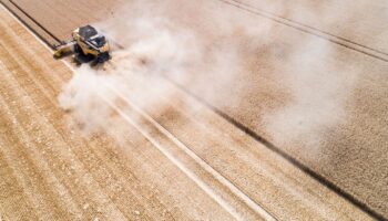 Die Gemeinsame Agrarpolitik (GAP) soll die Landwirtschaft in Europa ökologischer und nachhaltiger machen – auch in Niedersachsen