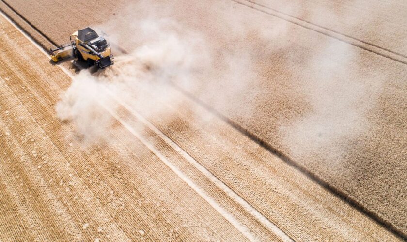 Die Gemeinsame Agrarpolitik (GAP) soll die Landwirtschaft in Europa ökologischer und nachhaltiger machen – auch in Niedersachsen