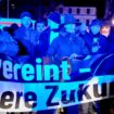 Laute „Abschieben“-Sprechchöre bei AfD-Demo zu hören – Gegendemo mit Menschenkette