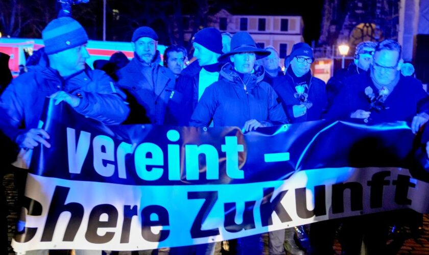 Laute „Abschieben“-Sprechchöre bei AfD-Demo zu hören – Gegendemo mit Menschenkette