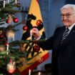 Weihnachtsansprache des Bundespräsidenten: „Dunkler Schatten“ über dem Fest