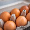 FDA raises Costco egg recall to highest alert amid salmonella concerns