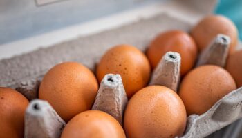 FDA raises Costco egg recall to highest alert amid salmonella concerns