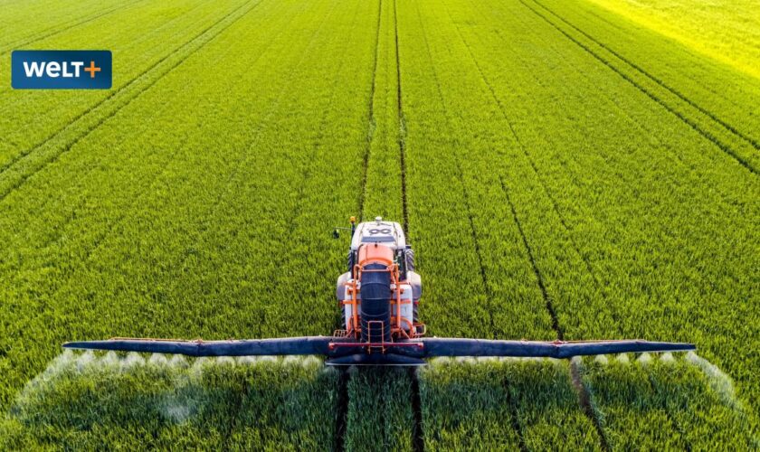 Produktion droht abzuwandern – ein folgenreiches Musterbeispiel deutscher Bürokratie