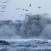 Sturm in Kalifornien: Teil von Seebrücke in Santa Cruz ins Meer gestürzt