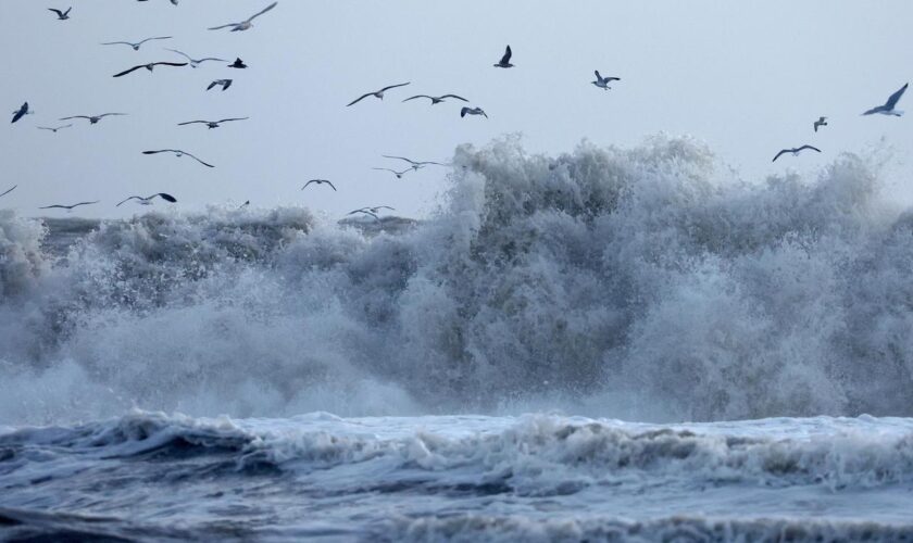 Sturm in Kalifornien: Teil von Seebrücke in Santa Cruz ins Meer gestürzt