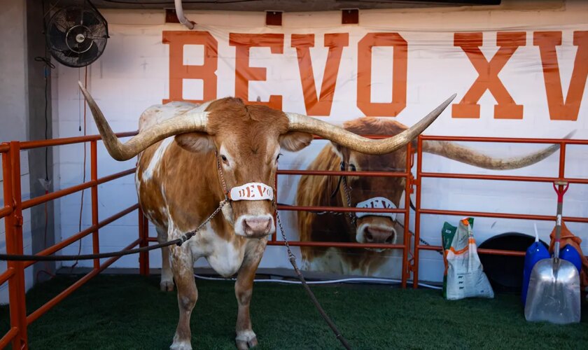 Texas football mascot Bevo barred from sidelines of upcoming CFP game, organizers say