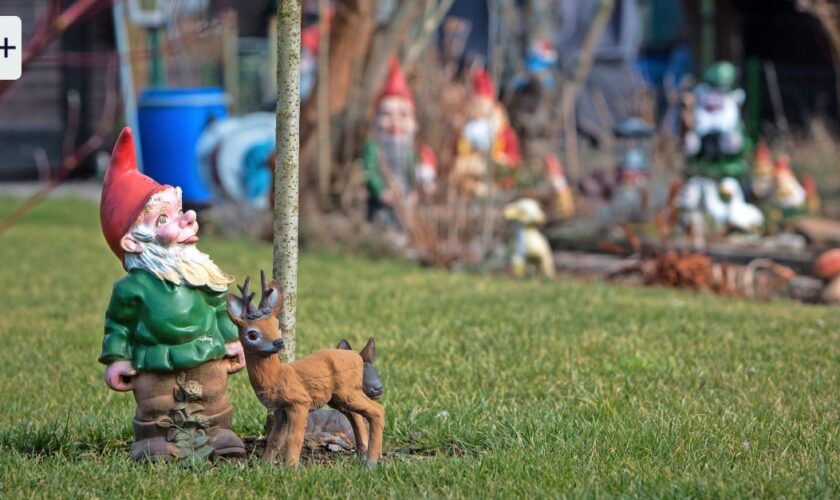 Weihnachten im Garten: Was Schrebergärten über Gemeinschaft lehren