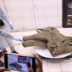 Baby mammoth preserved for 50,000 years unveiled in Russia's Siberia