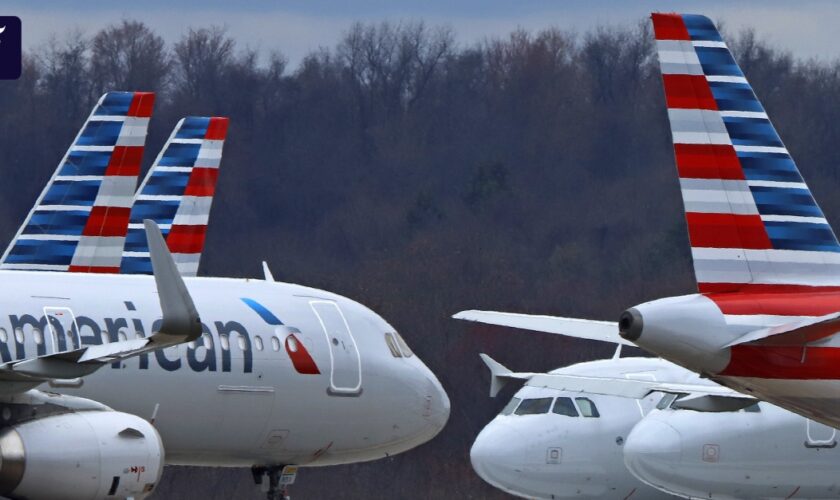 Softwareproblem verzögert Flüge von American Airlines