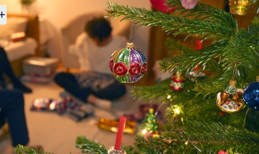 An Weihnachten kann so viel schief gehen