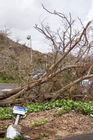 Cyclone à Mayotte : le bilan s’alourdit à 39 morts