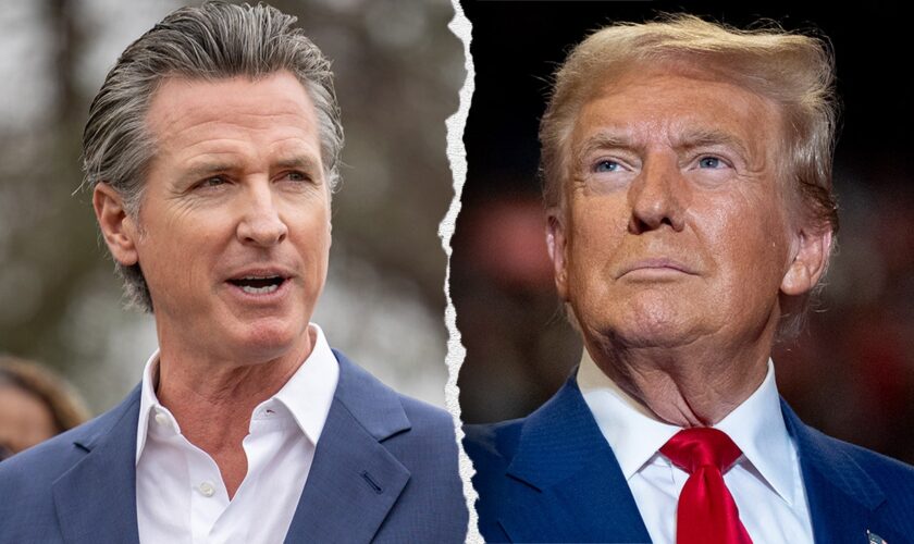 California Gov. Newsom's team considering ways to help illegal immigrants ahead of second Trump admin: report